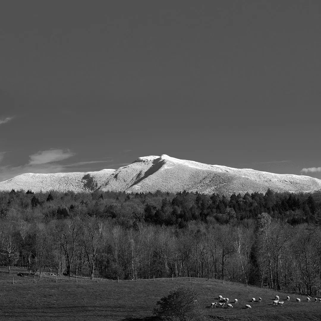 Mount Mansfield (Vermont) – First Edition Sculpture Sculpted Peaks
