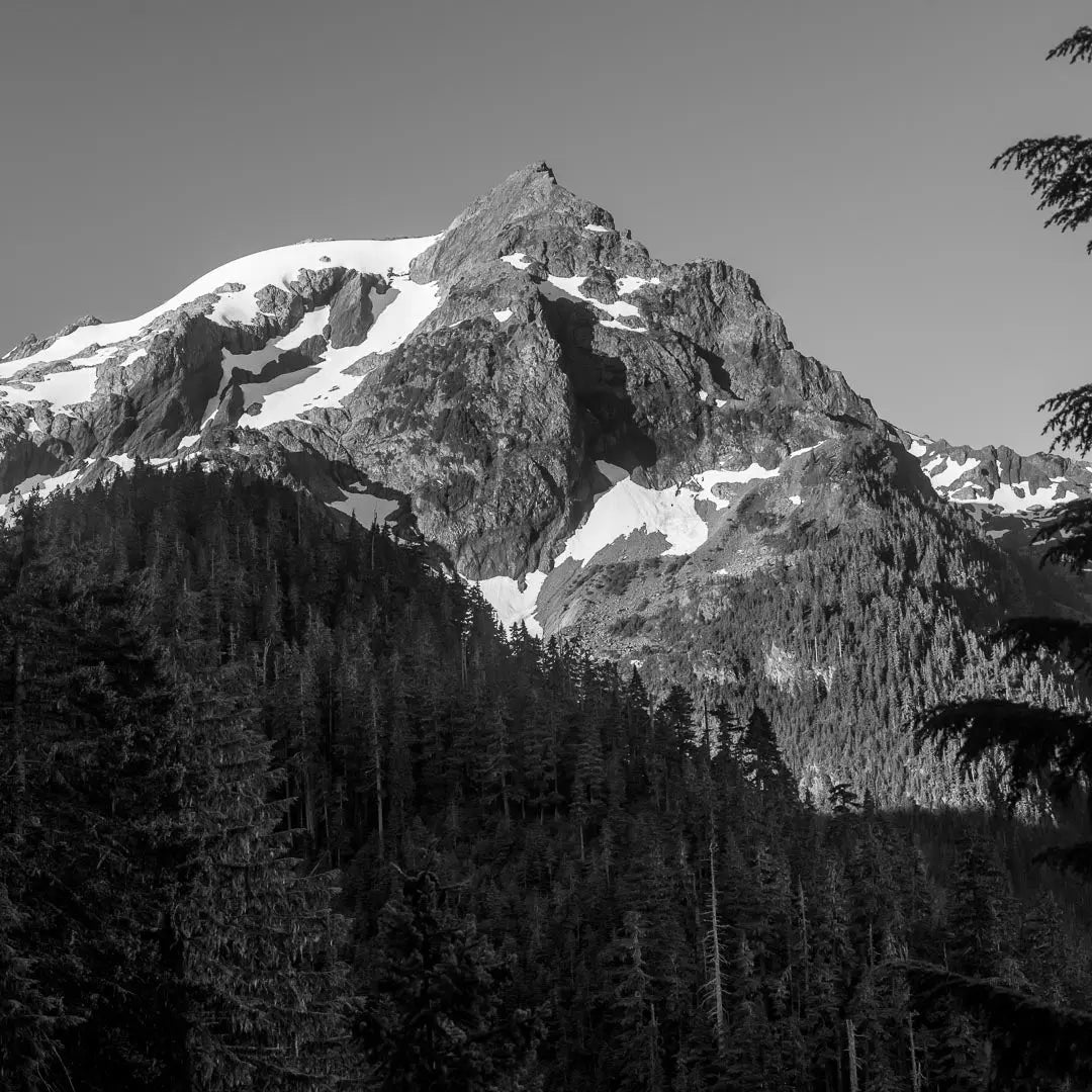 Mt. Olympus, Washington- First Edition Sculpture Sculpted Peaks
