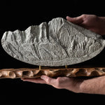 Longs Peak Sculpture Sculpted Peaks