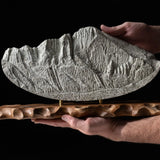 Longs Peak Sculpture Sculpted Peaks
