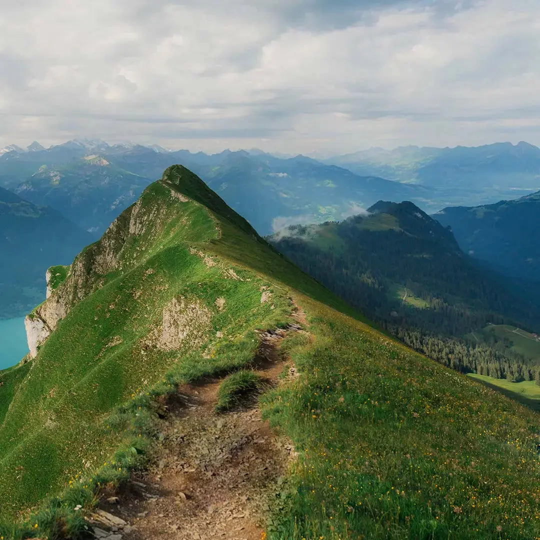 Switzerland Sculpted Peaks