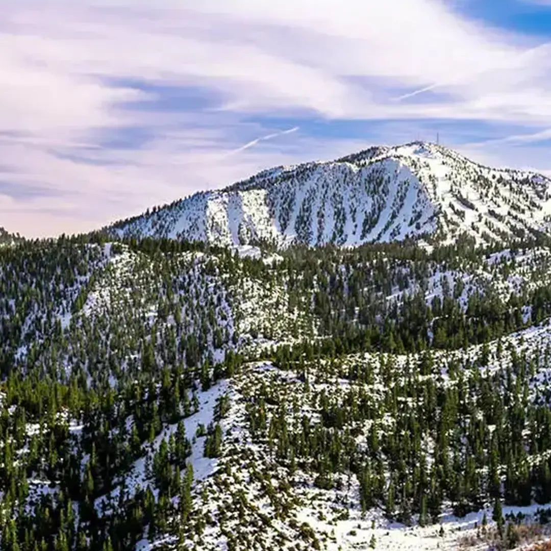 Nevada
