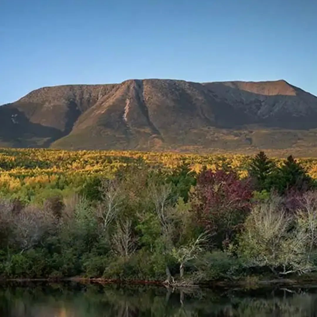 Maine Sculpted Peaks