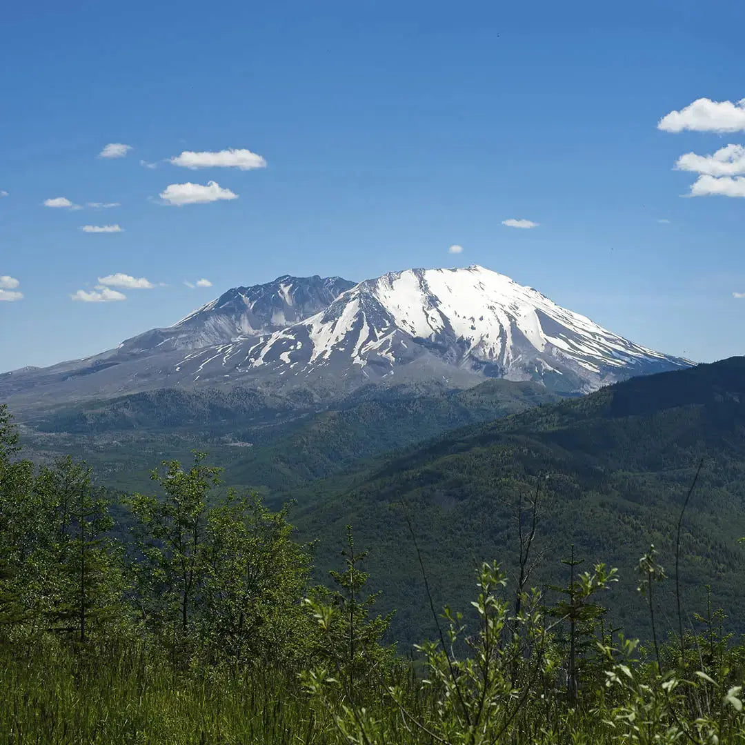 Washington Sculpted Peaks
