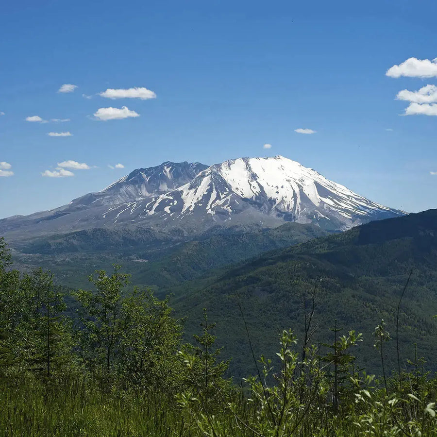 Washington Sculpted Peaks