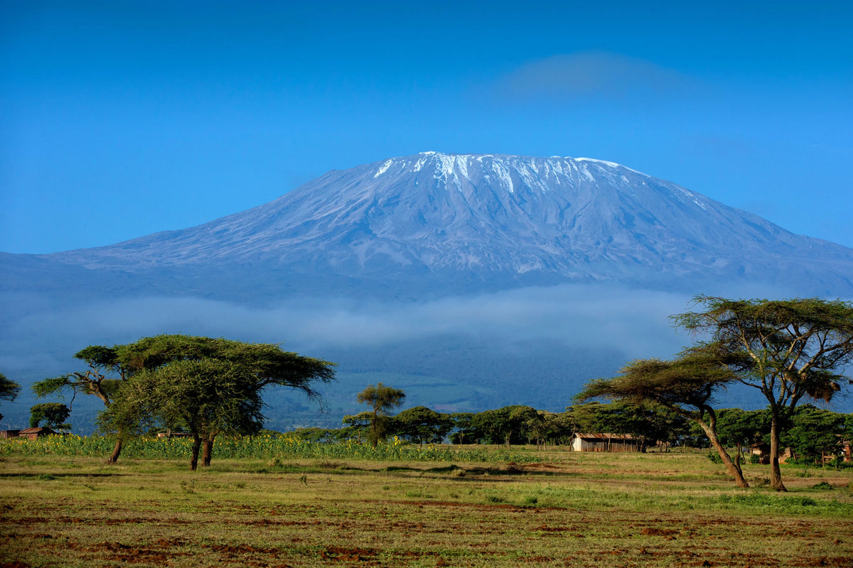 Mount Kilimanjaro (Tanzania - Imperfect Sculpture) - IMPF 305 Sculpted Peaks