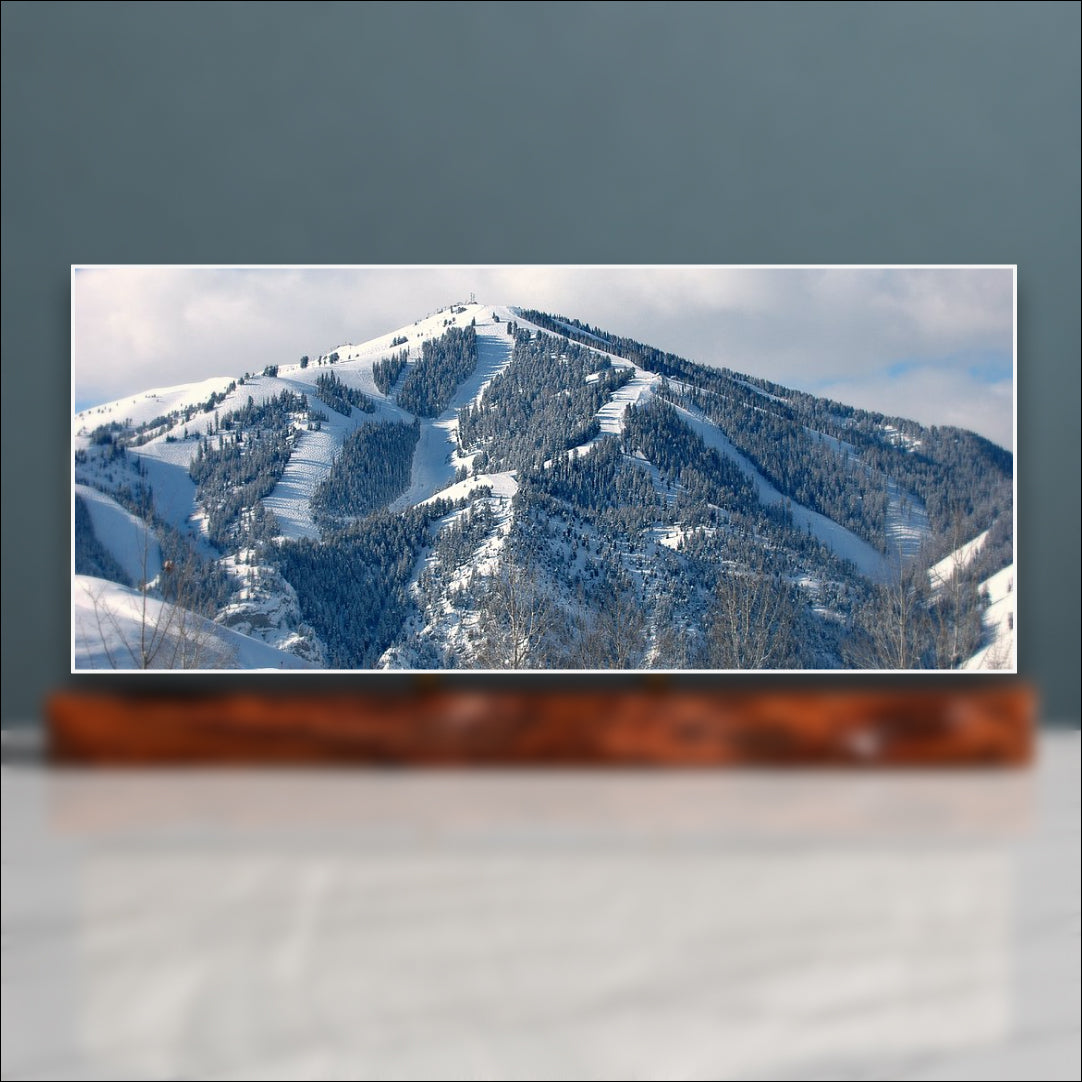 Bald Mountain Sculpture