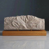 Celo Knob Sculpture (Black Mountains, North Carolina) Sculpted Peaks