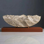 Chinquapin Sculpture (Blue Ridge Mountains, North Carolina) Sculpted Peaks