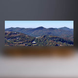 Chinquapin Sculpture (Blue Ridge Mountains, North Carolina)