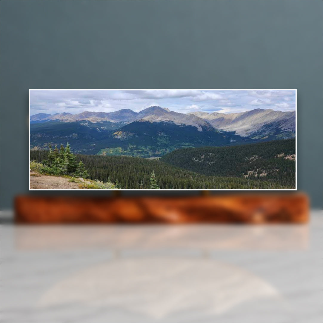 Cottonwood Pass Sculpture