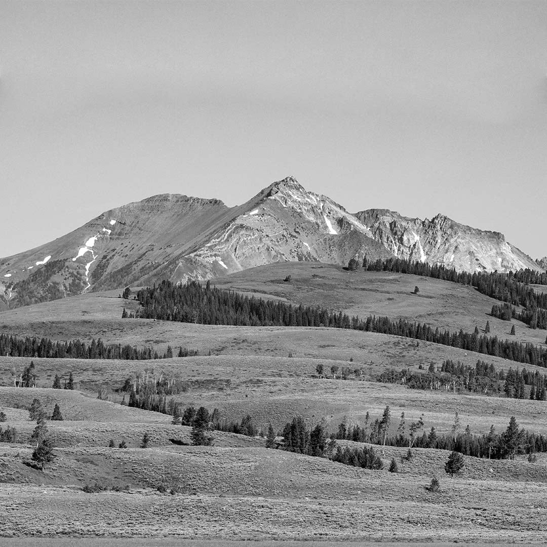 Going-to-the-Sun Mountain (View from Lake Mary, Glacier National Park, Montana) First Edition Sculpture Sculpted Peaks