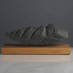 Flatirons Sculpture (Boulder, Colorado) Sculpted Peaks