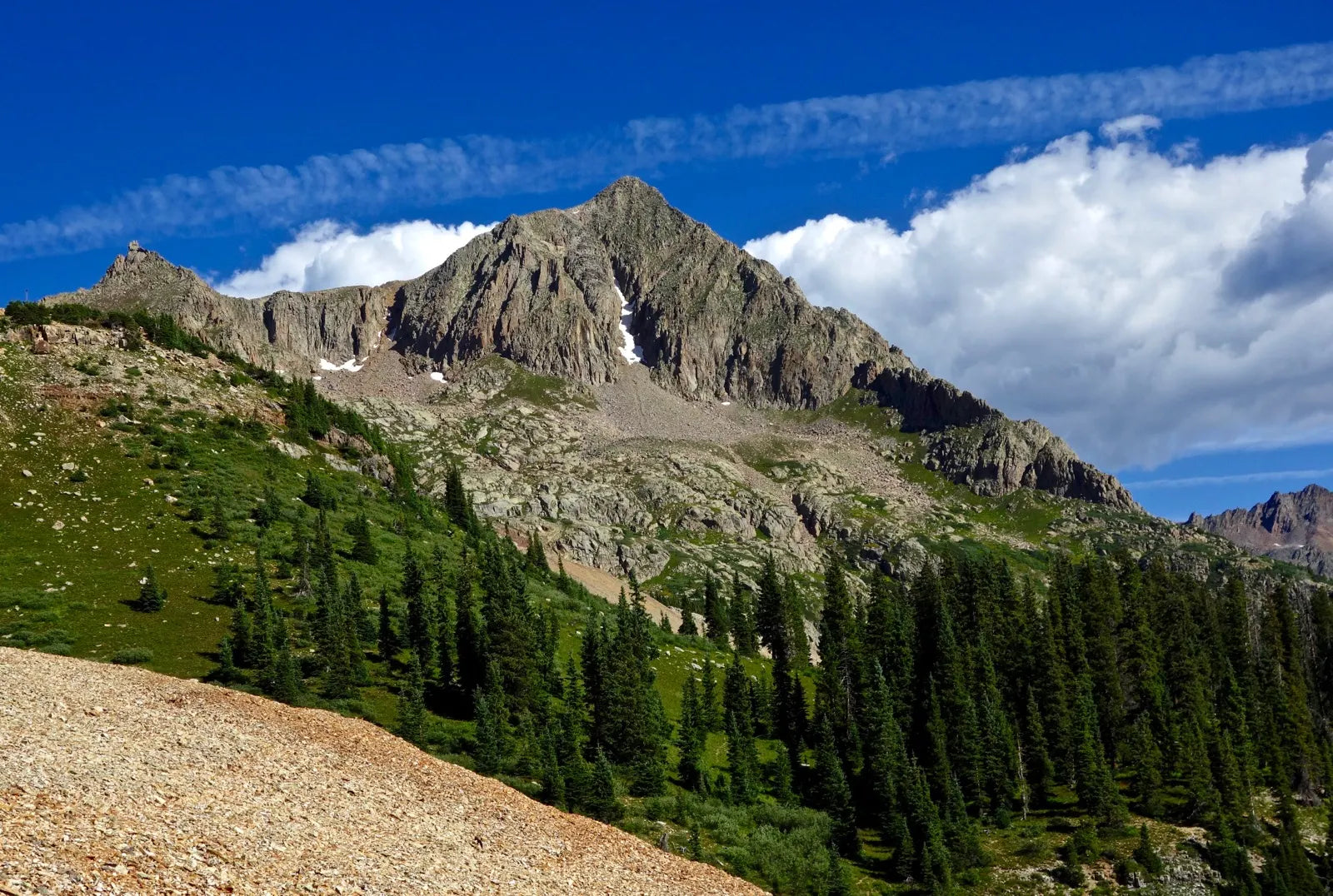 Grizzly Peak (Colorado - Sample Sculpture) - SMPL 354