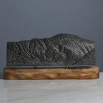 Grays Peak Sculpture (Colorado) Sculpted Peaks