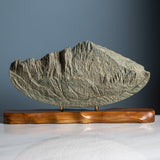 Longs Peak (Colorado - Imperfect Sculpture) - IMPF 66 Sculpted Peaks
