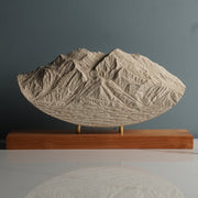 Denali (Imperfect Sculpture) - IMPF 170