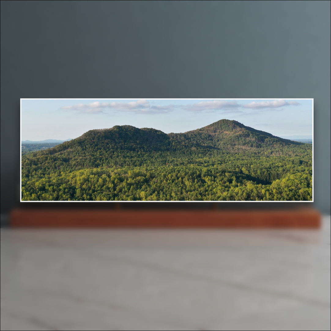 Kennesaw Mountain Sculpture - Georgia