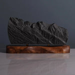 Mont Blanc Sculpture (View from Chamonix, France) Sculpted Peaks