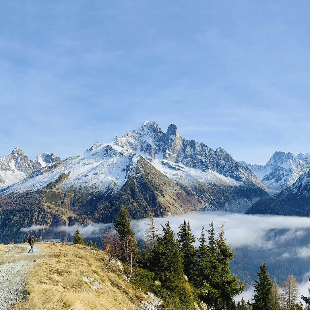 Aiguille Verte & Les Drus Sculpture (Mont Blanc Massif, France) Sculpted Peaks