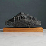 Monte Pavione Sculpture (Dolomites, Italy) Sculpted Peaks