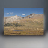 Mount Bierstadt Sculpture (Colorado)