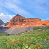 Mount Timpanogos Sculpture (Trailside Cliff View, Utah)