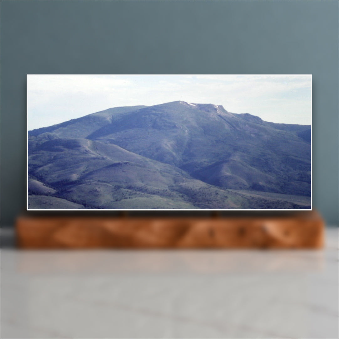 Mount Harrison Sculpture