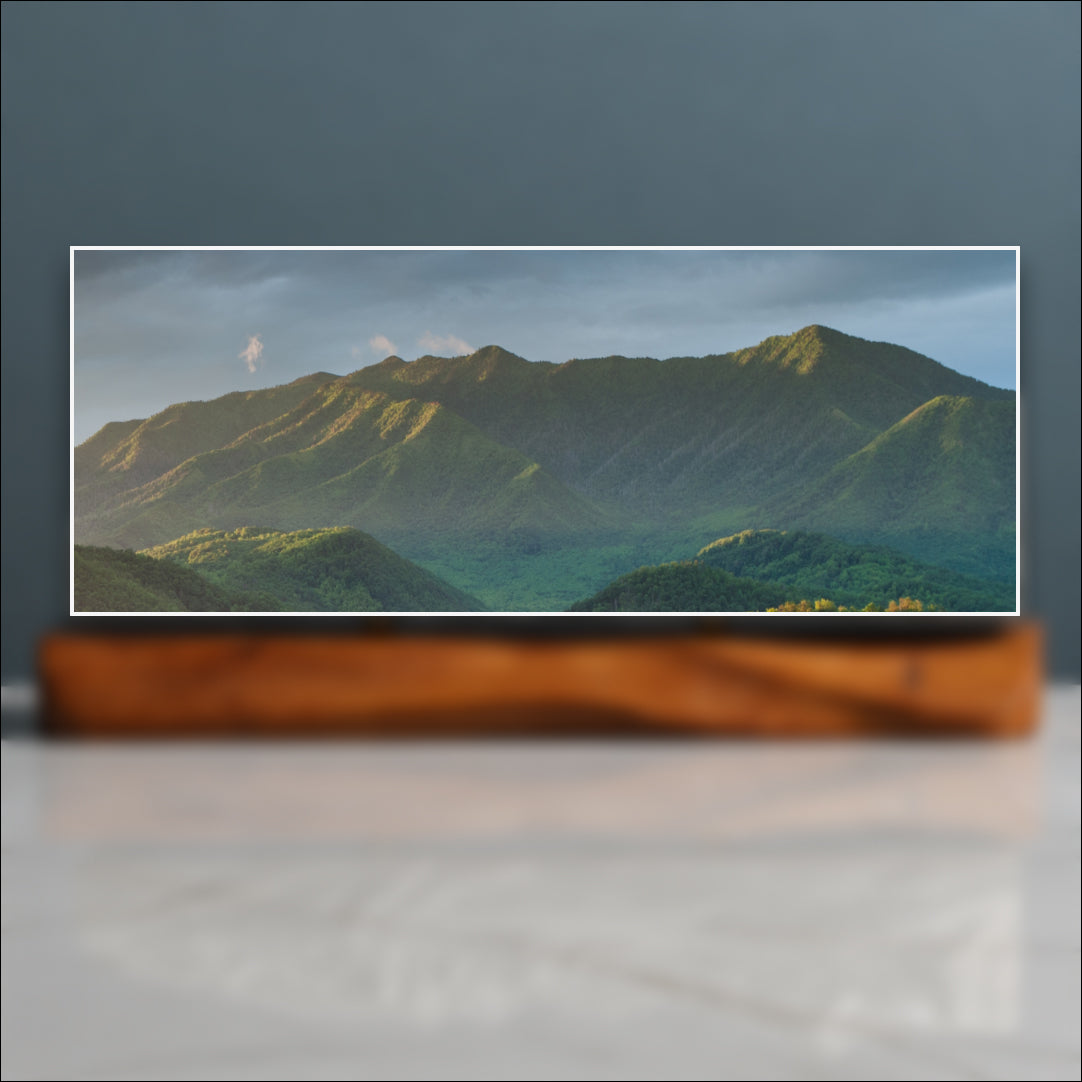 Mount Le Conte Sculpture - Gatlinburg