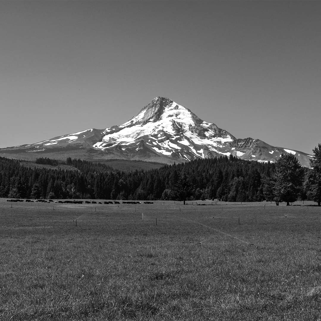 Mount Hood (View from Laurence Lake Road, Cascade Range, Oregon) First Edition Sculpture Sculpted Peaks
