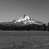 Mount Hood (View from Laurence Lake Road, Cascade Range, Oregon) First Edition Sculpture Sculpted Peaks
