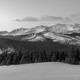 Mount Massive (View near Turquoise Lake, Sawatch Range, Colorado) First Edition Sculpture Sculpted Peaks