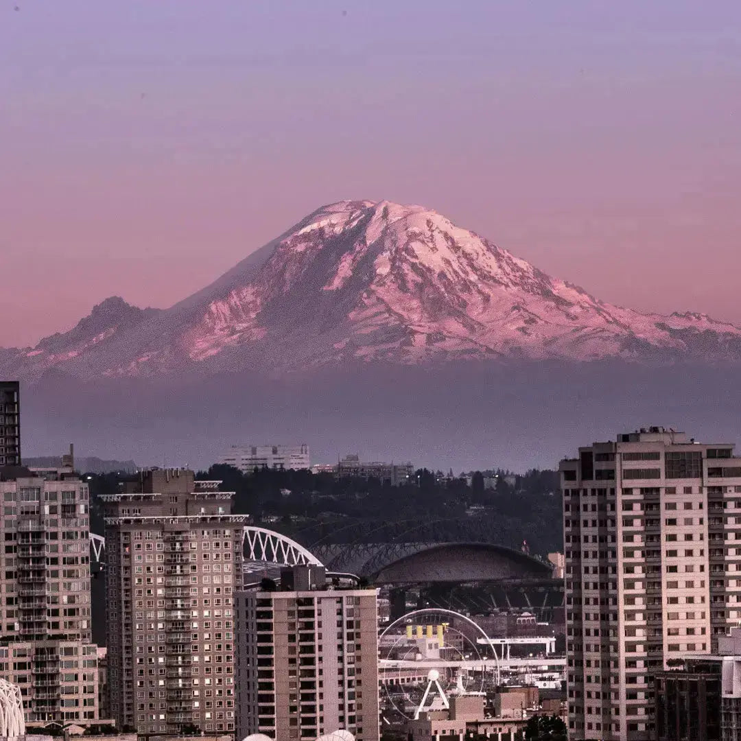Mount Rainier Sculpture (View from Seattle) Sculpted Peaks