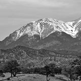 Mount Massive (View near Turquoise Lake, Sawatch Range, Colorado) First Edition Sculpture Sculpted Peaks