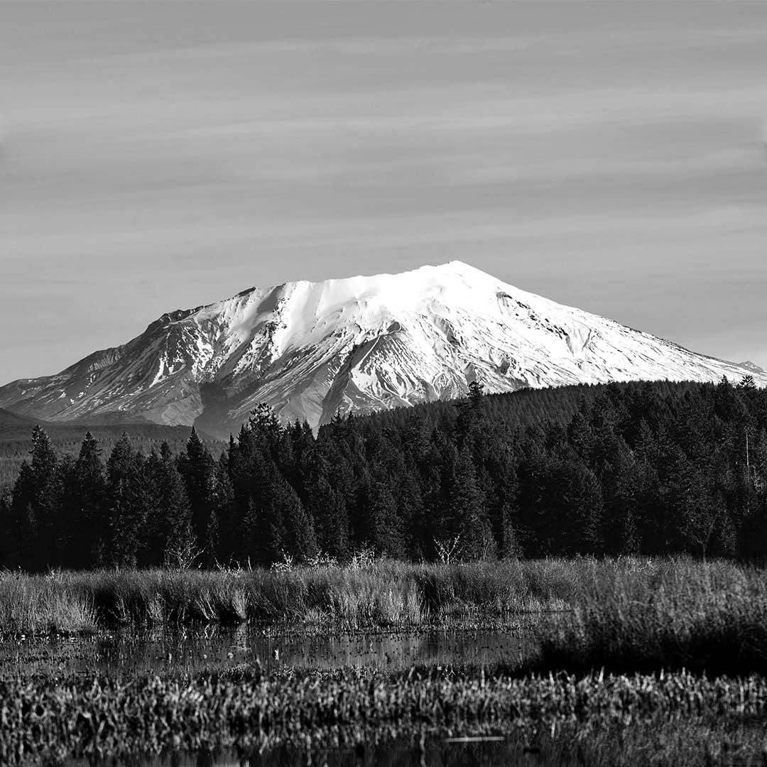 Mount St. Helens (East–Northeast View, Cascade Range, Washington) First Edition Sculpture Sculpted Peaks