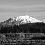 Mount St. Helens (East–Northeast View, Cascade Range, Washington) First Edition Sculpture Sculpted Peaks