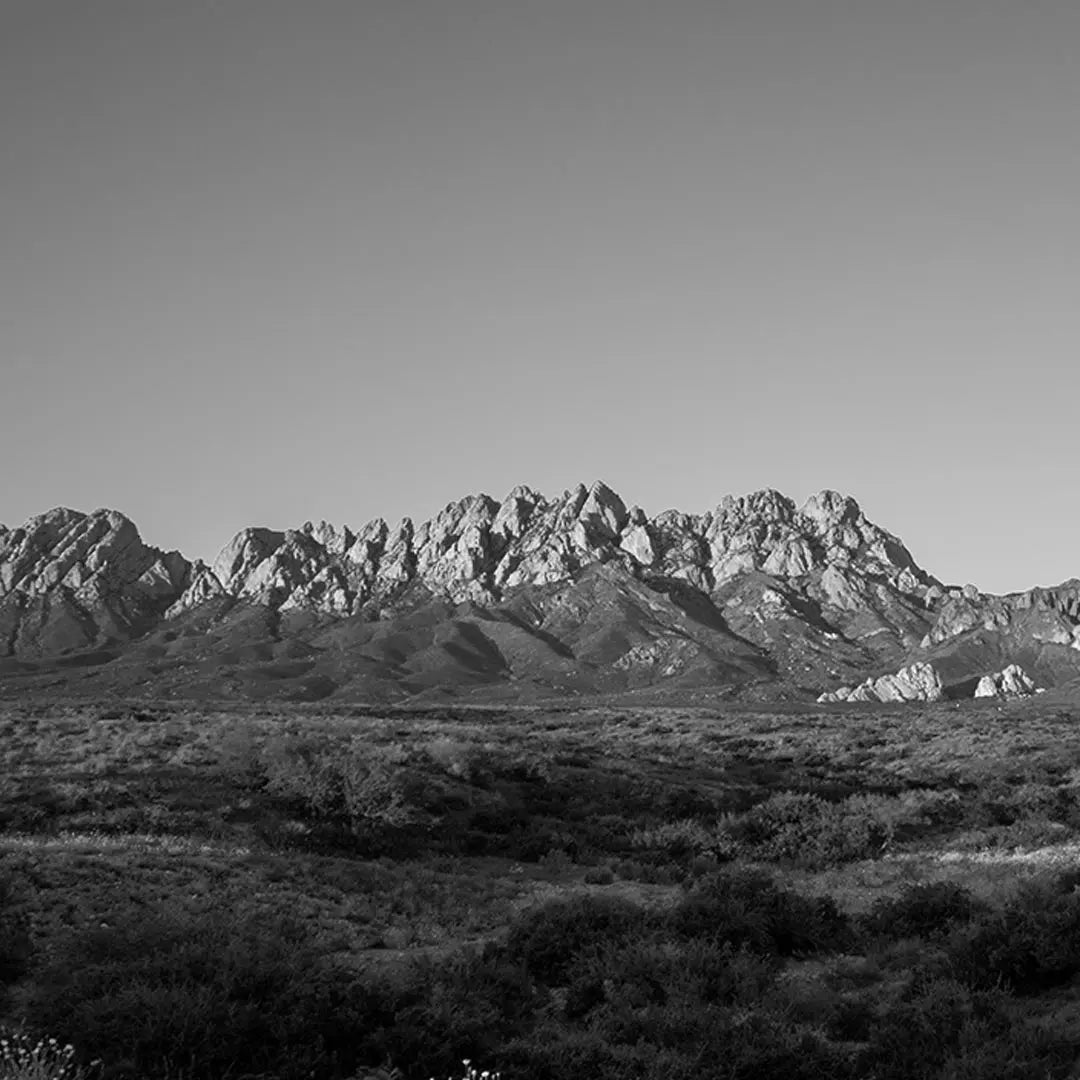 Organ Mountains (New Mexico - Sample Sculpture) - SMPL 269 Sculpted Peaks