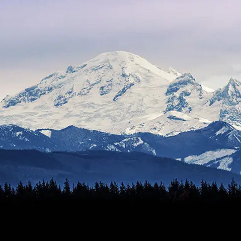 Pacific NW