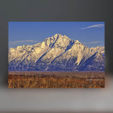 Pioneer Mountains Sculpture (View from Trail Creek Road, Idaho)