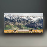 Quandary Peak Northwest Side (Colorado) Sculpture Sculpted Peaks