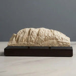 Schlern / Sciliar Sculpture (Dolomites Italy) Sculpted Peaks