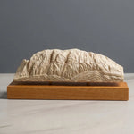 Schlern / Sciliar Sculpture (Dolomites Italy) Sculpted Peaks