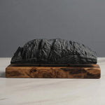 Schlern / Sciliar Sculpture (Dolomites Italy) Sculpted Peaks