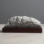 Schlern / Sciliar Sculpture (Dolomites Italy) Sculpted Peaks