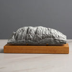 Schlern / Sciliar Sculpture (Dolomites Italy) Sculpted Peaks