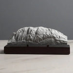 Schlern / Sciliar Sculpture (Dolomites Italy) Sculpted Peaks