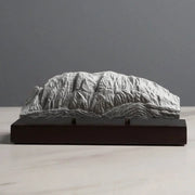Schlern / Sciliar Sculpture (Dolomites Italy) Sculpted Peaks