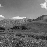 Mount Bierstadt Sculpture