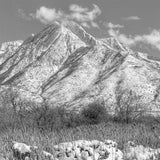 Mount Olympus, Utah Sculpture