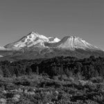 Mt. Shasta photo in black and white.